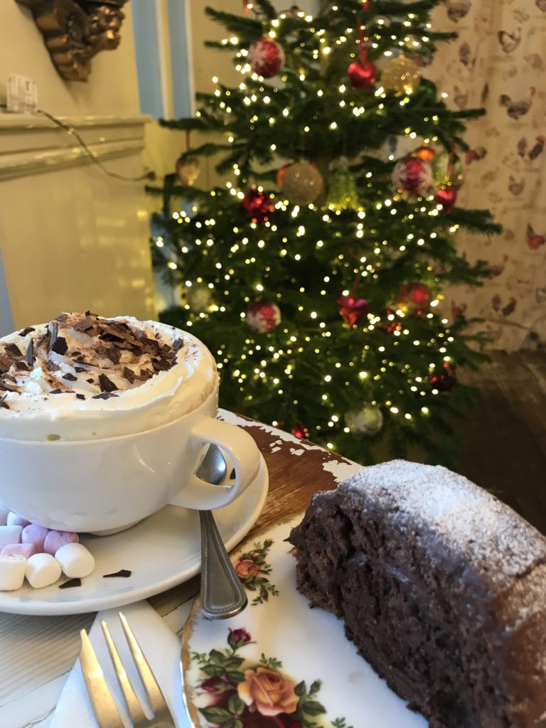 hot chocolate special and yule log